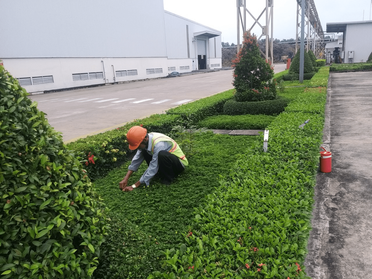 Dịch vụ chăm sóc cây cảnh chuyên nghiệp tại Gia Hoàng