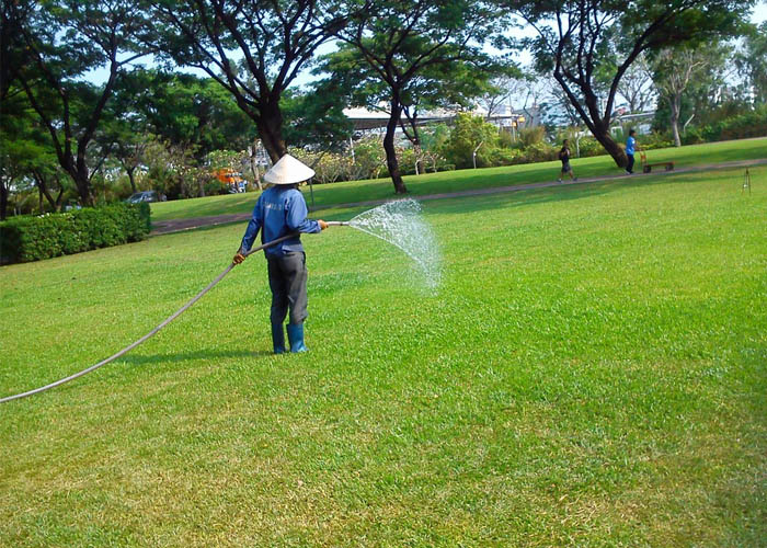 Dịch vụ chăm sóc cây cảnh chuyên nghiệp tại Gia Hoàng